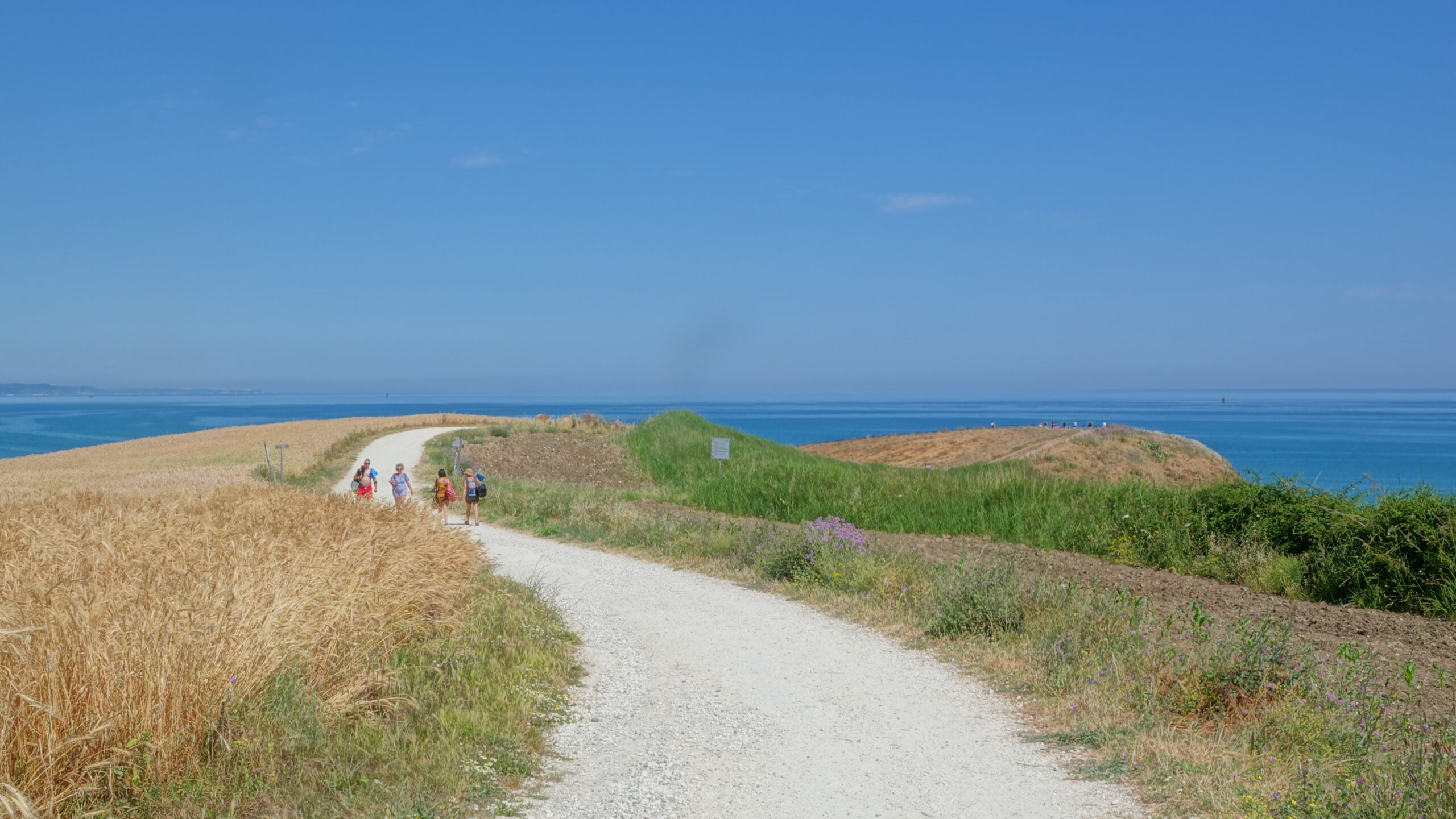 Punta Aderci costa dei Trabocchi - Cammino Mediterraneo (25)