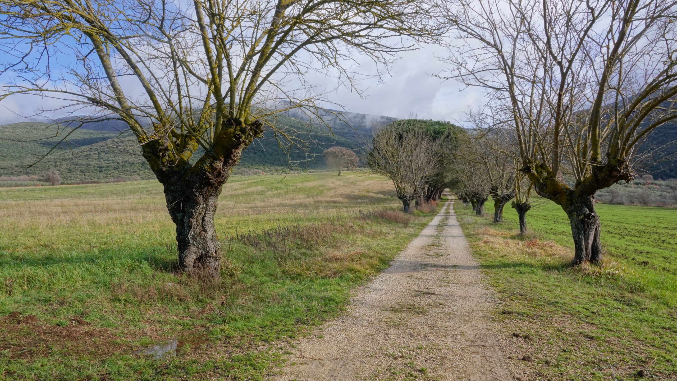 Trekking Umbria monti amerini - Cammino Mediterraneo (53)