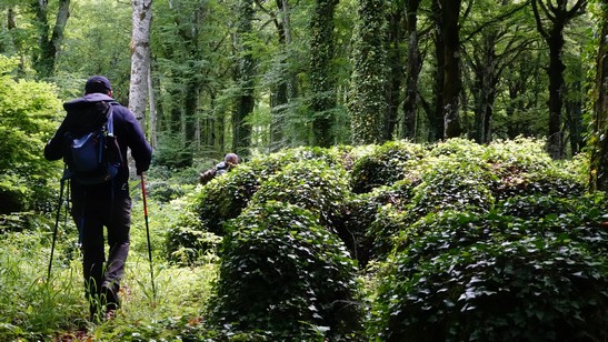 Trekking in Molise - Cammino Mediterraneo (247)