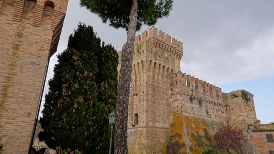 Trekking Conero - Cammino Mediterraneo (240)