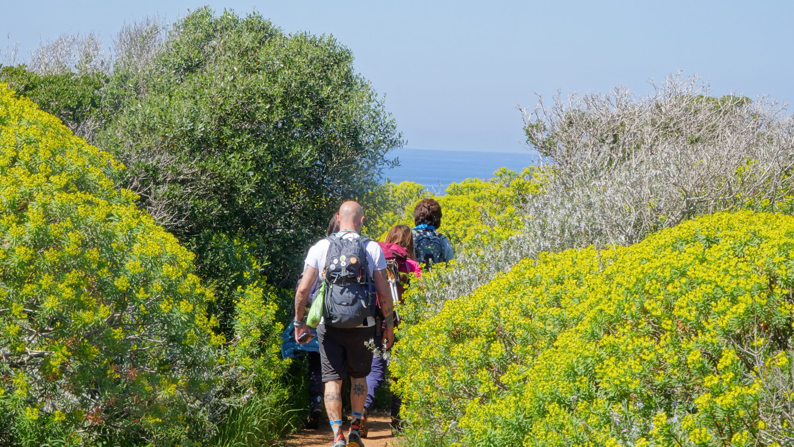 Trekking Isola di Giannutri - Cammino Mediterraneo (125)