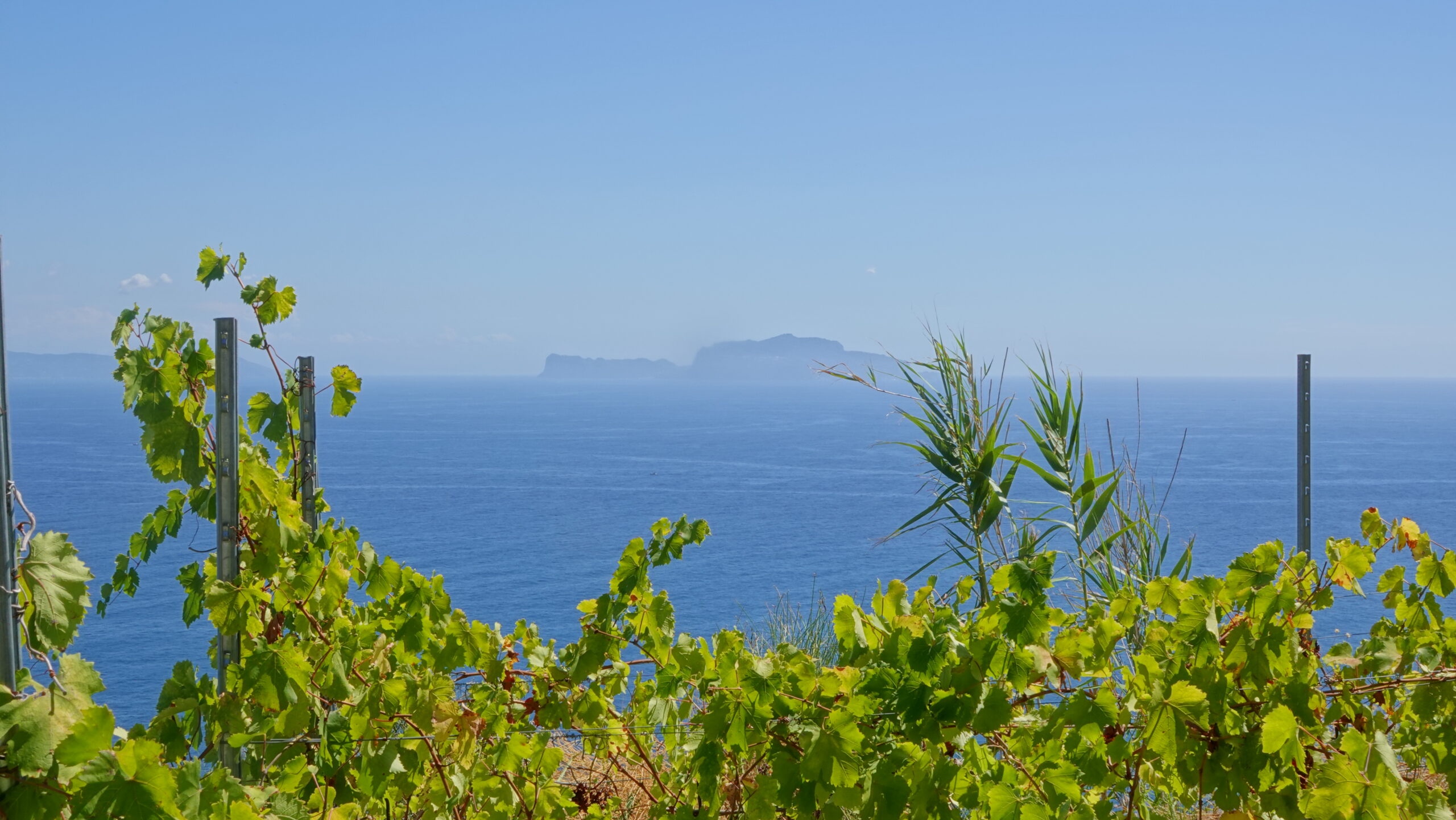 Trekking a Ischia - Cammino Mediterraneo (158)