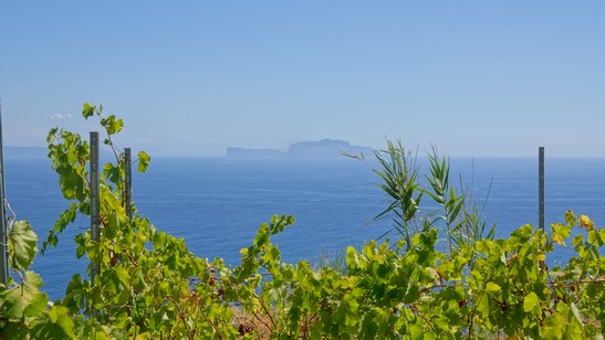 Trekking a Ischia - Cammino Mediterraneo (158)